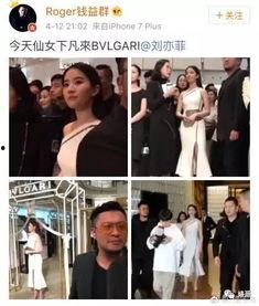 刘亦菲卓伟最新爆料,揭秘明星背后的真相与争议